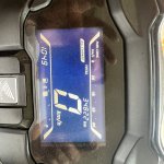 IMG_4357.jpeg