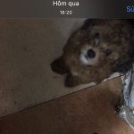 0BF02537-2259-4CA6-81D6-920614982D65.jpeg
