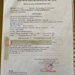 IMG_0259.jpeg