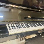 IMG_3742.jpeg