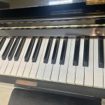 IMG_3741.jpeg