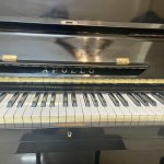 IMG_3739.jpeg