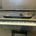 IMG_3745.jpeg