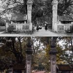 IMG_2368.jpeg
