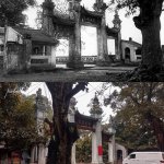 IMG_2366.jpeg