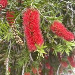 IMG_1503.jpeg