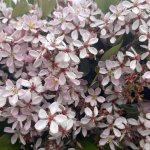 IMG_1502.jpeg