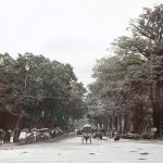 IMG_2450.jpeg