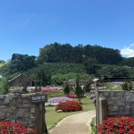 IMG_6424.jpeg