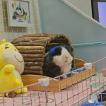 IMG_2502.jpeg
