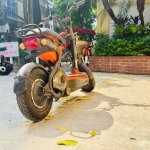 IMG_4700.jpeg