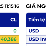 Ảnh màn hình 2025-10-17 lúc 11.15.16.png