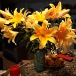 20180102_105145.jpg
