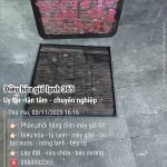 2025-11-03 16.16.36__(Điều hòa gió lạnh 365)_(Tiêu đề-Uy tín -tận tâm - chuyên nghiệp)_(-Phân ...jpg