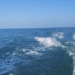 2025-10-11 15.12.02.jpg