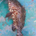 2025-10-11 15.06.01.jpg