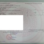 20210706_174122 1.jpg