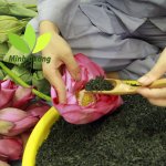 uop-tra-bup-sen - Copy.JPG