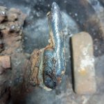 IMG_20251116_143037_407 (1).jpg