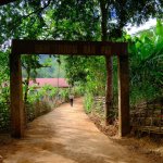 gen-h-z7213775500508_f0d5bcb00a974d2596fb6454e2632604 - Copy.jpg