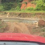 gen-h-z7234923603489_358ae7c87f51aa128093b869dd8eab5b - Copy.jpg