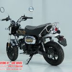 Honda DAX Royal Limited Edition đã chính thức có mặt tại Việt Nam – Mở đặt cọc giới hạn tại we...jpg