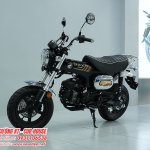 Honda DAX Royal Limited Edition đã chính thức có mặt tại Việt Nam – Mở đặt cọc giới hạn tại we...jpg