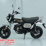 Honda DAX Royal Limited Edition đã chính thức có mặt tại Việt Nam – Mở đặt cọc giới hạn tại we...jpg