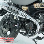 Honda DAX Royal Limited Edition đã chính thức có mặt tại Việt Nam – Mở đặt cọc giới hạn tại we...jpg
