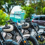 Benda Chinchilla 500 (112).jpg