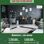 ACA 684 SILVER V.jpg