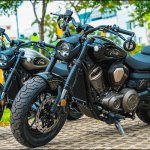 Benda Chinchilla 500 (127).jpg