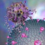 natural-killer-cell-attacking-a-cancer-cell-keith-chambersscience-photo-library.jpg