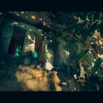 DSCF4849.JPG