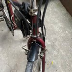 4299761932453383186 (1).jpg