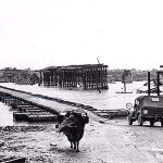 Quảng Trị_Thạch Hãn (34).jpg