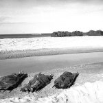 Quảng Trị 1967_5_20 (5).jpg