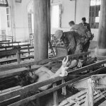 Quảng Trị 1967_5_25 (4).jpg