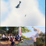 1765356517184.png