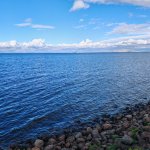 IMG_20250824_160433.jpg