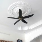 8071746-009e39c66366c2e8945988da90f901ad (1).jpeg