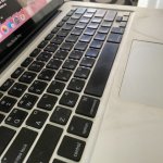 IMG_1488 trung bình.jpeg