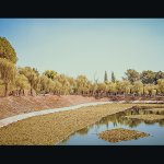 Scan-0004.JPG