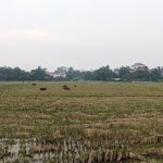 PXL_20231024_090647127.jpg