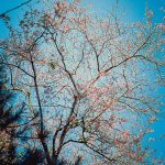 Scan-0032.JPG