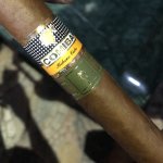 IMG_0689.jpeg