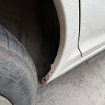 IMG_6166.jpeg