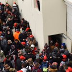 Mỹ 2021_1_6 (68).jpg