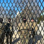 Mỹ 2021_1_9 (8).jpg