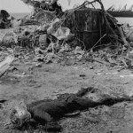 Iran 1980_2_1 (31).jpeg